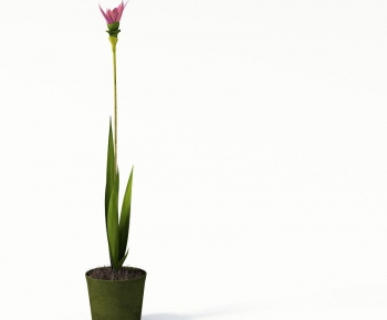 Modern Potted Green Plant-ID:754719771