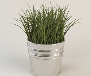 Modern Potted Green Plant-ID:984924359