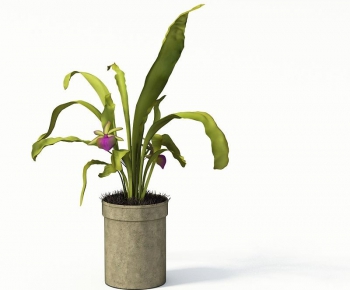 Modern Potted Green Plant-ID:565869882