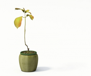 Modern Potted Green Plant-ID:661998747