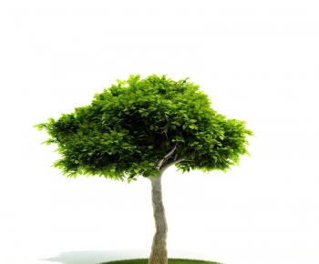 Modern Tree/shrub/grass-ID:385654324