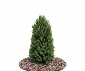 Modern Tree/shrub/grass-ID:668558249