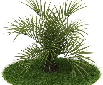 Modern Tree/shrub/grass-ID:843904587
