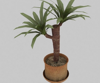 Modern Potted Green Plant-ID:898336574