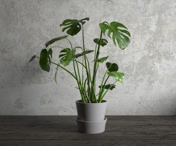 Modern Potted Green Plant-ID:857183273