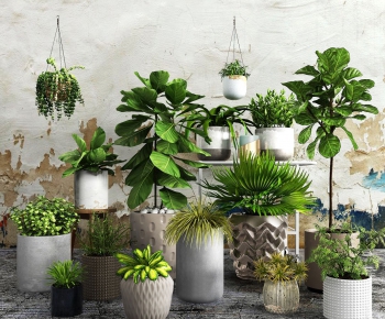 Modern Potted Green Plant-ID:565777617