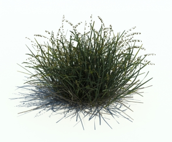 Modern Tree/shrub/grass-ID:332718111