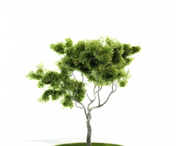 Modern Tree/shrub/grass-ID:574275567