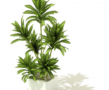 Modern Potted Green Plant-ID:334877947