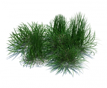 Modern Tree/shrub/grass-ID:812599341