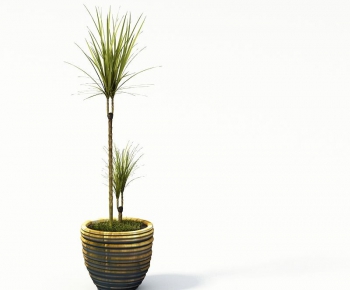 Modern Potted Green Plant-ID:625872458