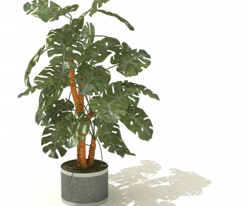 Modern Potted Green Plant-ID:609873894