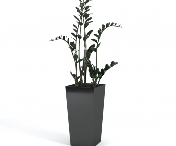 Modern Potted Green Plant-ID:677471469