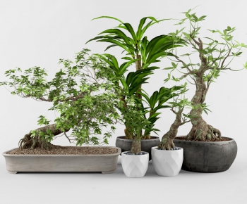 New Chinese Style Potted Green Plant-ID:575477119