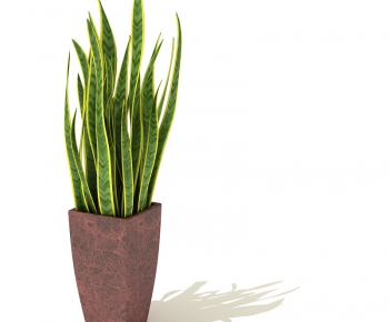 Modern Potted Green Plant-ID:420411644
