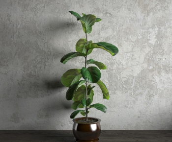 Modern Potted Green Plant-ID:148266932