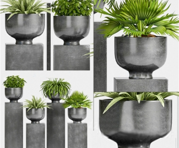 Modern Potted Green Plant-ID:277675954