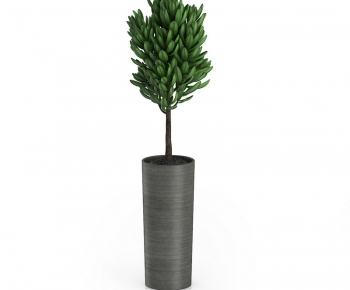 Modern Potted Green Plant-ID:874385162