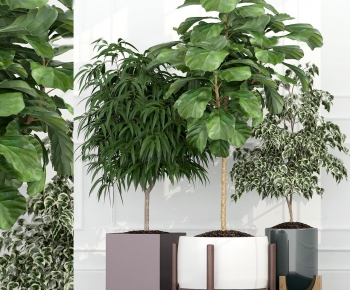 Modern Potted Green Plant-ID:627040693