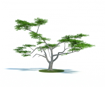 Modern Tree/shrub/grass-ID:743813398