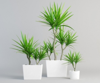 Modern Potted Green Plant-ID:382625334