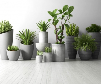 Modern Potted Green Plant-ID:522392268