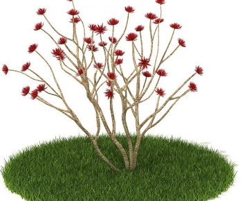 Modern Tree/shrub/grass-ID:809454819