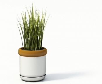 Modern Potted Green Plant-ID:766348222