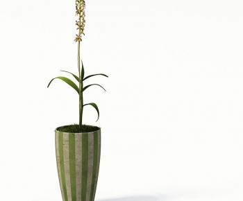 Modern Potted Green Plant-ID:629890461