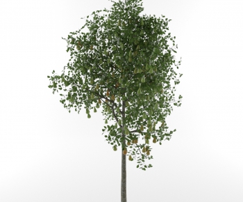 Modern Tree-ID:385618882