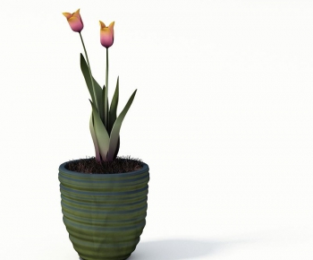 Modern Potted Green Plant-ID:613931754