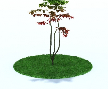 Modern Tree/shrub/grass-ID:422310763