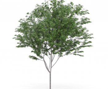 Modern Tree/shrub/grass-ID:936585513