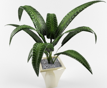 Modern Potted Green Plant-ID:125244564