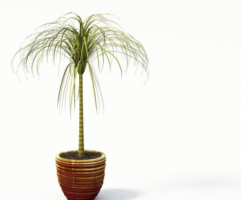 Modern Potted Green Plant-ID:633792392