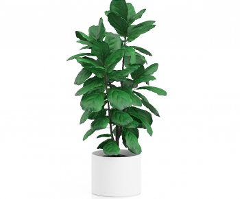 Modern Potted Green Plant-ID:777019554
