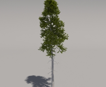Modern Tree-ID:450621355