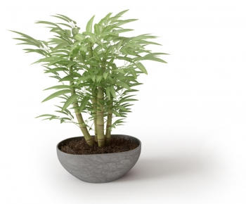 Modern Potted Green Plant-ID:440176335