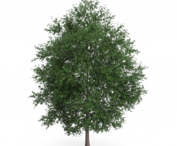 Modern Tree/shrub/grass-ID:920417916