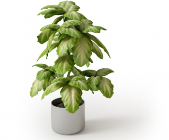 Modern Potted Green Plant-ID:549933968