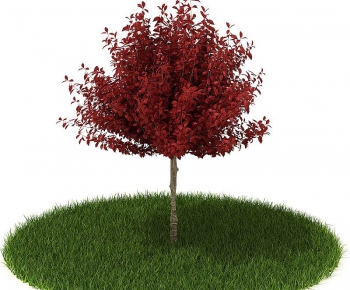 Modern Tree/shrub/grass-ID:939237513