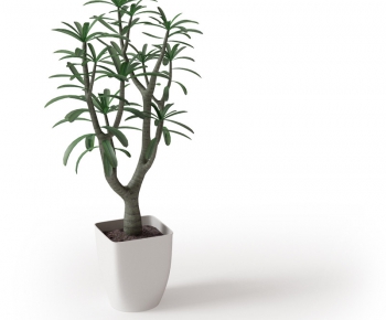Modern Potted Green Plant-ID:451534878