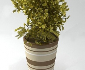 Modern Idyllic Style Simple Style Potted Green Plant-ID:791924727