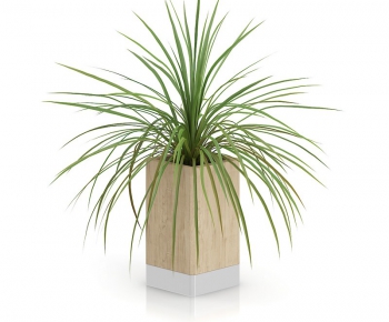 Modern Potted Green Plant-ID:684908444