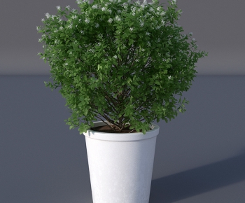 Modern Potted Green Plant-ID:827434798