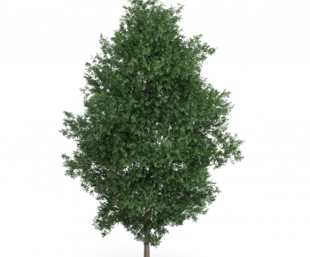 Modern Tree/shrub/grass-ID:482367791