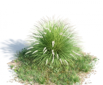 Modern Tree/shrub/grass-ID:683588136