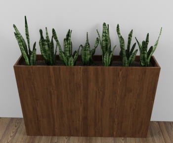 Modern Potted Green Plant-ID:886511169