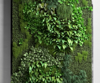 Modern Plant Wall-ID:331276984