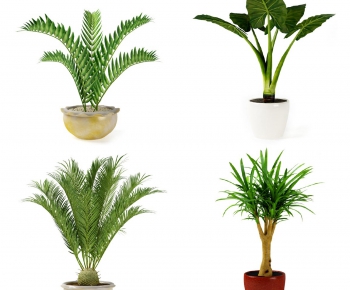 Modern Potted Green Plant-ID:308787136